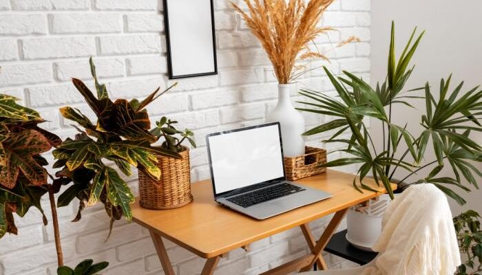 How to decorate an office with plants