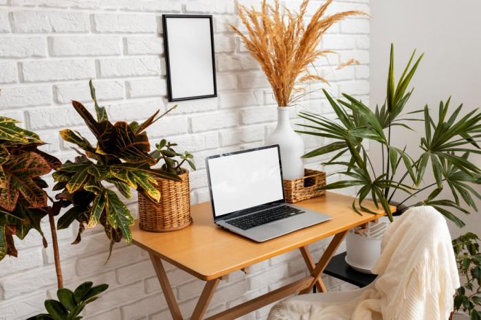 How to Decorate an Office with Plants Tips for a Green Workspace