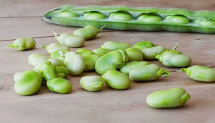 How to cook country style lima beans