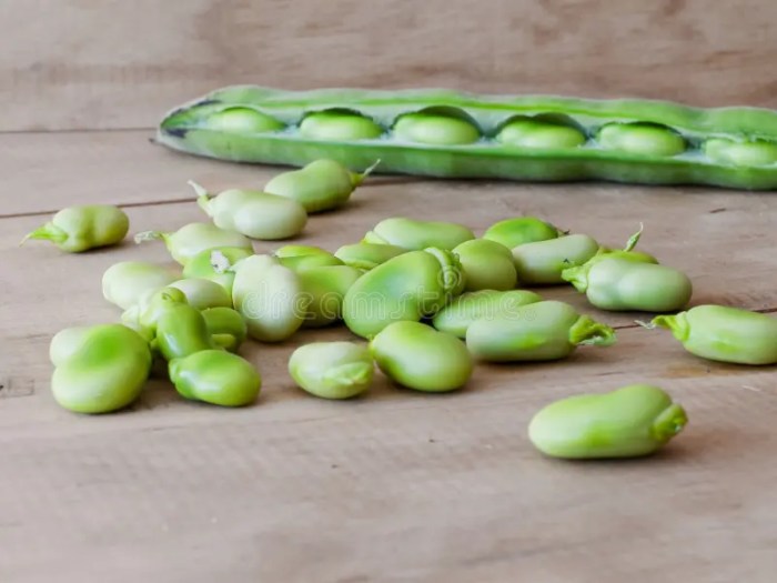 How to cook country style lima beans