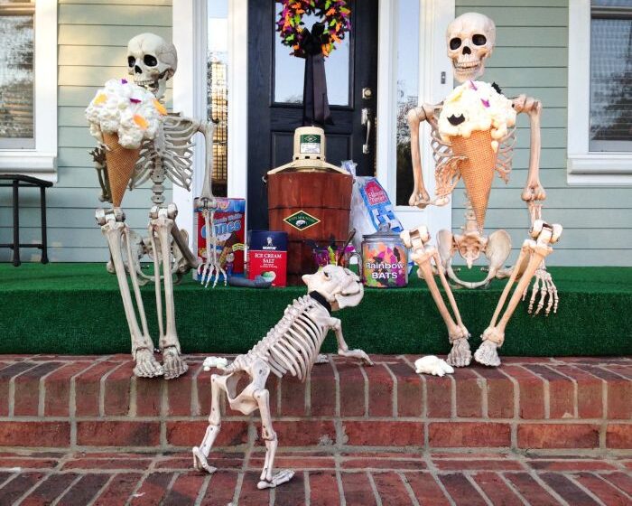 How to make skeleton decoration